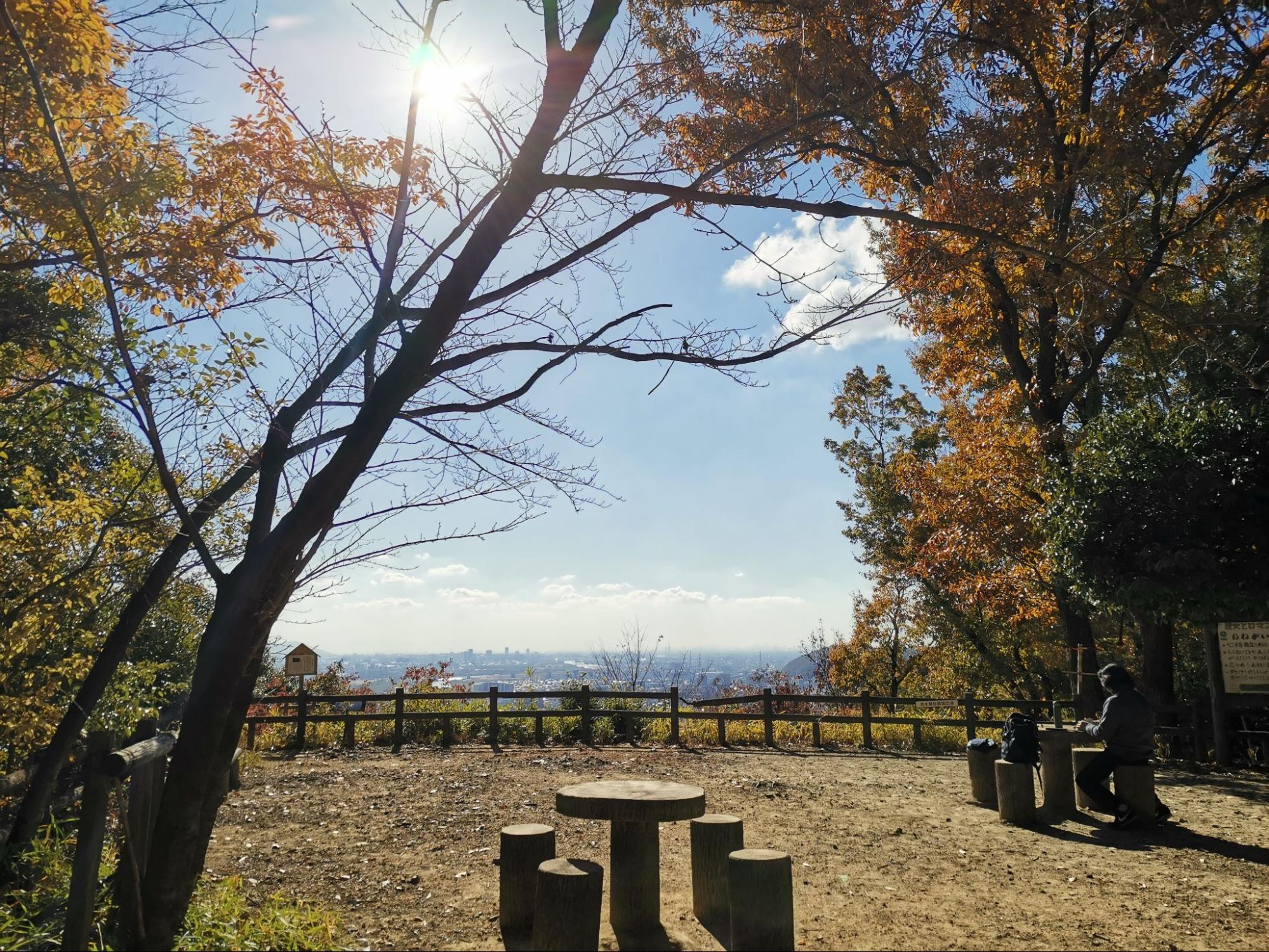 (2ページ目) 駅から日帰り「天王山」ハイキング! 絶景の“ラスト紅葉”「山崎聖天」&歴史ファン必見「天下分け目」の地「実踏レポ」|登山 ...