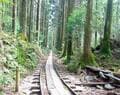 一度は行きたい！ 世界遺産「屋久島」 じっくり満喫できる、ガイド付きツアーで参加してみた！  縄文杉・白谷雲水峡・島内テント泊の神秘「現地レポ」の画像005