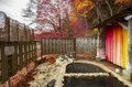 【紅葉流れる渓谷美】「箒川キャッチ＆リリースエリア」で紅に染まるニジマスを狙う！ 2022年《栃木県》の画像002