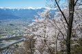 【こんな贅沢な山は他にない！】お花見ハイキングの名所「光城山」のお出かけ前に押さえるべきポイント解説の画像004