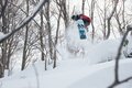 【湯沢中里スノーリゾート・新潟県】超絶ツリーラン環境もある「元祖駅前」ゲレンデの画像003