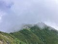 残暑を避けて登りたい「歩き出しから涼しい日帰りがっつりルート」 八ヶ岳・権現岳の画像018