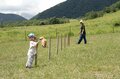 【栂池高原】遊びがギュッと詰まった「つがいけアウトドアビレッジ」で、キャンプやグランピング、「白馬つがいけWOW！」を大満喫！ ワンコも一緒に高原をエンジョイ！【長野県小谷村】の画像006