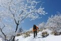 【春の雪山登山入門におすすめ】気軽に楽しめる絶景雪山ルート「湯ノ丸山」への画像003