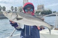 大人気「シーバス釣り」攻略の鍵は「ルアー選択」！  ハマれば「ランカーサイズ」も！  釣果に直結する「種類と誘い方」とは？