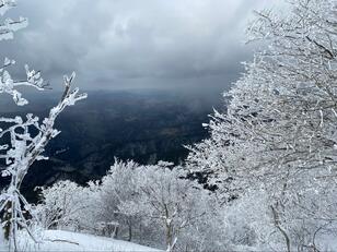 「年間通じて冬が一番」大阪から車で1時間半の「関西のマッターホルン」奈良県・高見山での「霧氷の絶景」