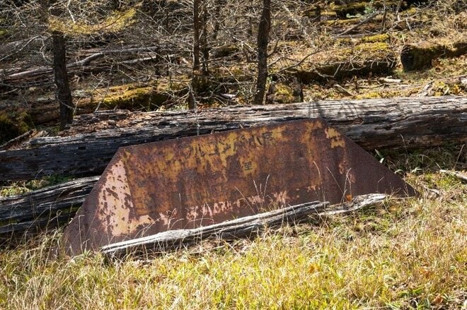 【首都圏近郊ハイキング】日帰りでもしっかり歩ける穴場「牛の寝通り」で紅葉大満喫の画像009