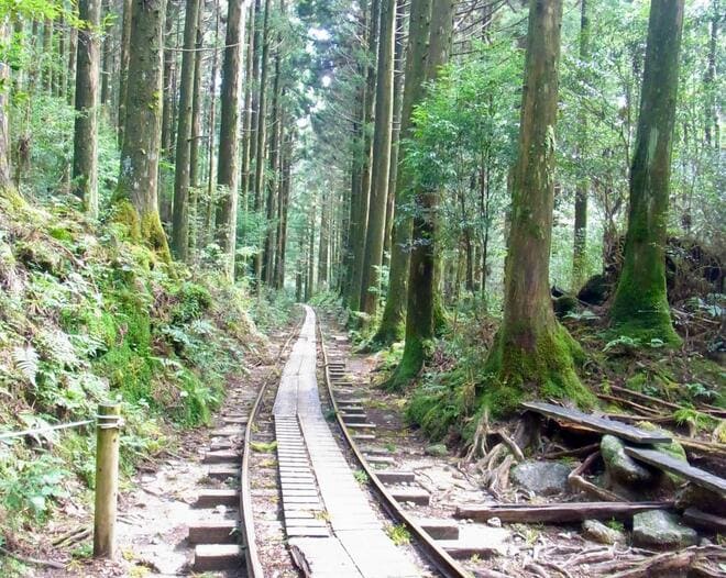 一度は行きたい！ 世界遺産「屋久島」 じっくり満喫できる、ガイド付きツアーで参加してみた！  縄文杉・白谷雲水峡・島内テント泊の神秘「現地レポ」の画像005