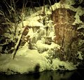 「雪の青森って、素敵だね！」 白銀の奥入瀬渓流をスノーシューで散策し、冬だけの大自然アート「氷瀑」を鑑賞する【「奥入瀬渓流ホテル」滞在型満喫プラン】の画像018