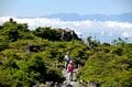 「北八ヶ岳ロープウェイ」360度の大パノラマに感動！  涼感あふれる絶景高原リゾート【長野県茅野市】の画像006