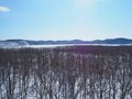 「えっ！？　汽車の窓からタンチョウが！」鉄道で楽しむ冬の旅【北海道・厳冬の釧路湿原レポート（4）SL冬の湿原号】の画像012