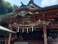 夏の「高尾山〜小仏城山」縦走の見どころは「ヤマユリ」！  美しい大輪の花・複数まとまって咲く様子に感動！「登山レポ」の画像003