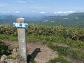 まさに高山植物の宝庫！  花の百名山「栗駒山」紅葉だけじゃない「初夏の魅力」フラワートレッキングの画像013