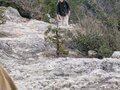 冬太り… そろそろ解消しておきたい人に！  検証・低山ハイキング前後で体重は何グラム変わるのか！？  標高300mの山＆ラーメンと焼肉「翌朝の体重」の結果の画像002