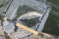 管理釣り場と侮ることなかれ！ 絶景の中でビッグレインボーが釣れる・八千穂レイク＜長野県＞の画像009