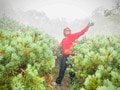 ”登山道整備”の素朴な疑問「誰が？ どのくらいの頻度で整えてるの？」【わたし、山小屋はじめます vol.12】の画像003