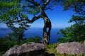 【5月は神の島へ！】リアスの海岸線を引き立てる青い海「絶景とご利益の島」 宮城県の金華山【月めくりの低山カレンダー #05】の画像003