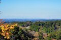 まだ間に合う！【関東の紅葉最終案内】房総・大福山と梅ヶ瀬渓谷で晩秋のんびり歩きの画像014