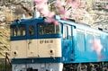 鉄道マニアじゃなくても楽しめる！ 「電車と桜の組み合わせに夢中」車窓から見える絶景スポットはお花見の名所だった！  2022年【山梨県・勝沼ぶどう郷駅】の画像007