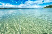 【鹿児島県】憧れのフラットシャロー！  フライフィッシングと昆虫観察、トレッキングを満喫した「奄美大島」トリップ   2025年