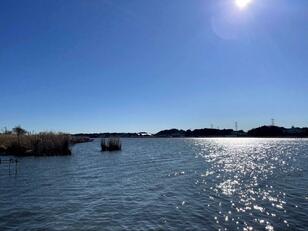 都心からアクセスOK＆1周約3時間のサイクリング「千葉・手賀沼」 爽快な眺めも地元グルメ＆温泉も、1日充実のスポット！