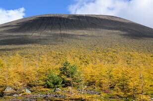 どこの惑星の景色でしょ？「浅間山×カラマツ」が生む独特過ぎる紅葉が見頃