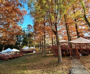 【茨城県】もう「都道府県魅力度ランキング」最下位常連なんて言わせない！？  ここを体験するだけでも茨城に行く価値アリ！  “泊まれる植物園” がコンセプトの新感覚アウトドアリゾート「ボタニカルリゾート林音（りんね）」【内覧会リポート】