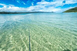【鹿児島県】憧れのフラットシャロー！  フライフィッシングと昆虫観察、トレッキングを満喫した「奄美大島」トリップ   2025年