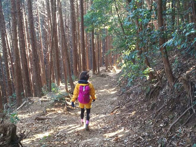 【首都圏 “駅から” ハイキング】電車で行く低山縦走コース！「奥多摩・高水三山」 新宿から約90分でも「東京の大自然」満喫！ 登山レポの画像006