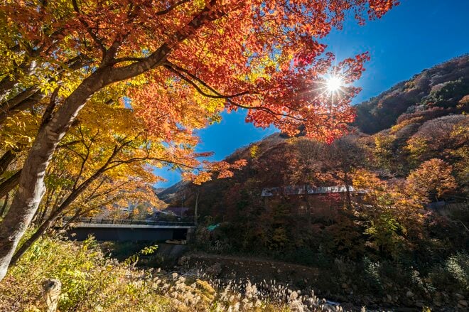 【松川渓谷】紅葉に彩られた赤い橋 “高井橋” から見る絶景！ 信州高山温泉郷・上信越国立公園 2022年の画像008