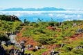 カメラを持って『北八ヶ岳ロープウェイ』へ出かけよう！  かつての火山噴火が作り上げた「希少な自然美」に出会う【特集・紅葉フォトトレッキングガイド 2024】の画像002