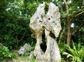 NHK朝ドラ『ちむどんどん』の舞台！  ユネスコ世界自然遺産「世界最北端」熱帯カルストの「大石林山」で「ドリーネ・タワーカルスト・ピナクル」奇岩だらけの独特すぎる絶景に出会える沖縄北部「やんばる」の魅力とは？の画像002