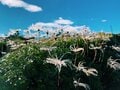 一粒で二度おいしい！ 日帰り温泉登山【癒し編】＜小蓮華山＞の画像005