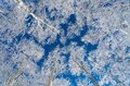 「どっち向いても・どこ撮っても絶景かよ」志賀高原 焼額山スキー場の雪景色！ “シーズン一番” 奇跡の一日【The Day】上信越高原国立公園・長野県の画像008