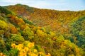 【登山】ここ数年で一番の美しさ「南アルプスの貴公子と女王の山岳紅葉」 日本の1-2-3位の高峰を望む  南アルプス・2025年の画像014