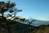 年末年始に見たい「富士山」の絶景！ 秀麗富嶽十二景「本社ヶ丸」＆「清八山」都心から日帰り登山「まるで浮世絵」山頂レポ