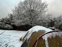 秋の「天候急変」で雪が降ったらどうする？  まさかの「マイナス3℃キャンプ」実体験ライター「命びろい」アイテムレポ