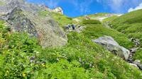 初心者がまず揃えるべき「登山道具3点」 登山靴・バックパック・レインウェア「選び方のポイント」とは？