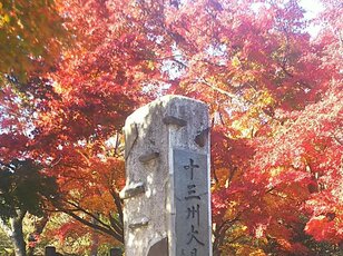 「ミシュラン三つ星」の絶景地「高尾山」で紅葉ハイキング！  しっかり歩ける「稲荷山コース」＆フォトスポットの人気吊橋「4号路」で秋景色を堪能！