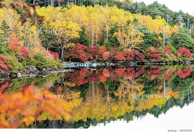 【富士山の次に登る山 vol.2】登山の魅力はムゲン大「美林を楽しむ山歩き」 上高地・甲武信岳・北八ヶ岳の画像011