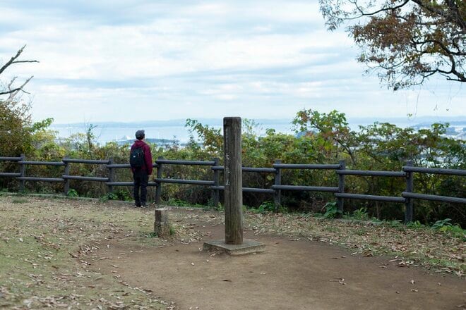 都市部で2時間「駅からハイキング」横浜市金沢区「大丸山」レポ！思わず嬉しくなる“街チカ”とは思えない、豊かな自然＆展望！の画像010