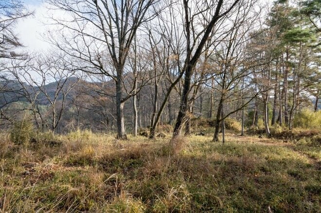 【首都圏近郊おすすめ低山ハイキングコース】2025年登り初めは武田家の歴史と観音様が待つ「要害山縦走コース」への画像010