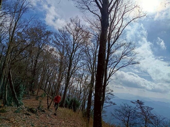 過疎の村でも「エコツーリズム」は成り立つのか？  移住10年で見えた “人が集まる理由”【耕して、焙煎して、走る男　人口2,800人の村に移住してみました vol.15】 の画像004