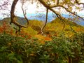 【日本百名山】「紅葉のピーク直前！ 温泉と絶景登山を楽しむ」名峰・妙高山へ 2022年・新潟県の画像001