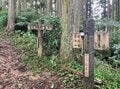 ＜紅葉前に“関西屈指”のススキの大海原もお見逃しなく！＞大阪市内から“車で小一時間で行ける”「岩湧山」ハイキングルート【里山アドベンチャー！ソトアソ日和 vol.７】の画像019