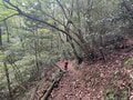 ＜紅葉前に“関西屈指”のススキの大海原もお見逃しなく！＞大阪市内から“車で小一時間で行ける”「岩湧山」ハイキングルート【里山アドベンチャー！ソトアソ日和 vol.７】の画像024