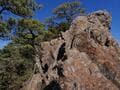 足元から広がる「ほぼ360度」絶景！  山頂手前の岩稜「白髪岳」からのダイナミックな展望は冬がおすすめ！  2時間ハイキングレポ【兵庫県丹波篠山市】の画像008