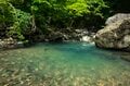 【渓流釣り】イワナとヤマメが交互に釣れるポイントが続く碧い水の渓 「『ナウシカ』に出てきそうなヘビトンボが登場！」 群馬県｜2026年の画像003