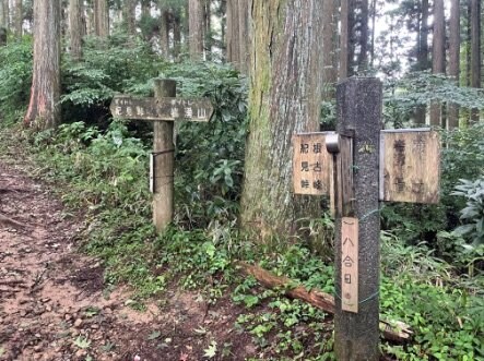 ＜紅葉前に“関西屈指”のススキの大海原もお見逃しなく！＞大阪市内から“車で小一時間で行ける”「岩湧山」ハイキングルート【里山アドベンチャー！ソトアソ日和 vol.７】の画像019
