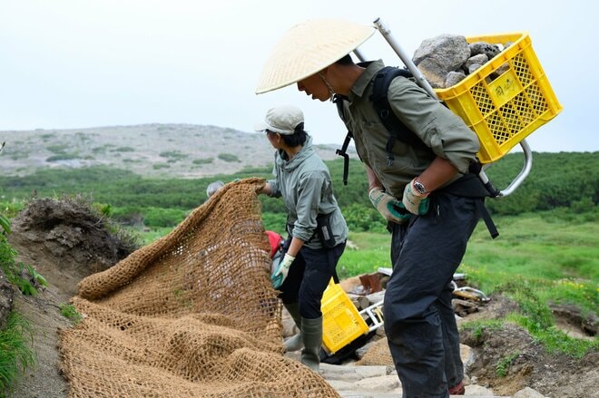 生態系の一部としての登山道は作れるか？  自然から学ぶ「新しい道」の作り方【100年先までつなぐ、大雪山の自然と登山道 vol.2】の画像007